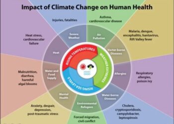 Impact of Climate Change on Human Health | U.S. Climate Resilience Toolkit