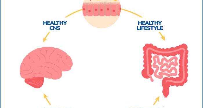 Gut-Brain Axis Info | Gastroenterology of Greater Orlando