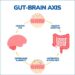 Gut-Brain Axis Info | Gastroenterology of Greater Orlando