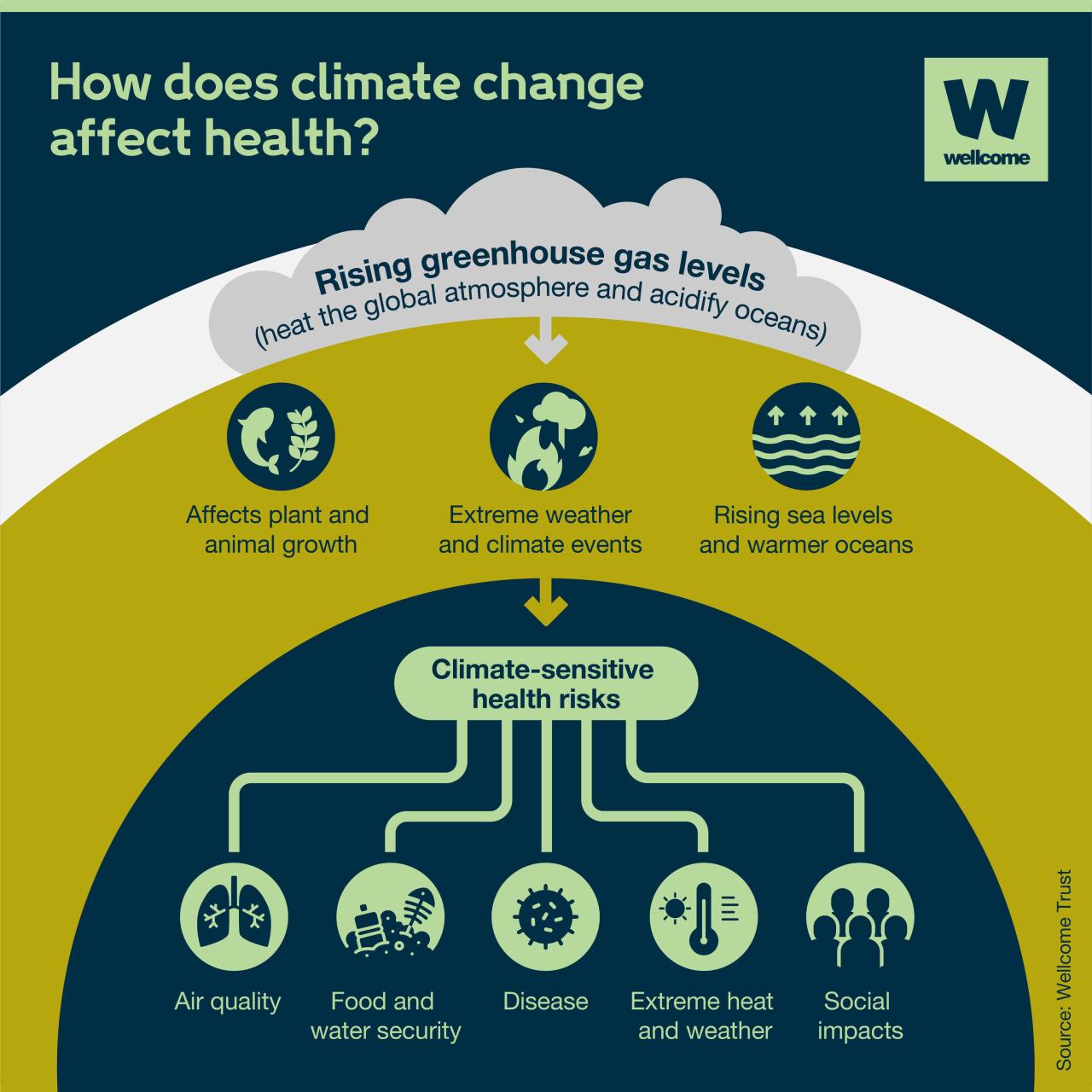 The health effects of climate change, explained | News | Wellcome